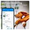 Dog GPS tracker app showing live location and activity