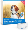 Dog wearing GPS tracker collar in park