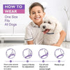 1/2 Pc Dog Calming Pheromone Collars Cats Relieve Anxiety Adjustable Comfortable Collar for Puppy Kitten Large Dogs Accessories