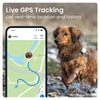 Close-up of waterproof dog GPS tracker on collar