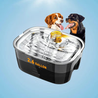 Large Dog Filtered Water Fountain