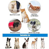 USB Pet Paw Cleaner Cup – Small to Medium Dogs