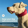 Halo Collar 4 GPS wireless Dog Fence – Wireless, Smart, Orchid Color