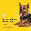 Halo Collar 4 GPS wireless Dog Fence – Wireless, Smart, Orchid Color