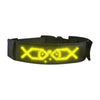 LED Multicolor Display Pet Dog Collars Programmable Multilingual Scrolling Customized Animations Rechargeable Glowing Necklace