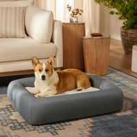 Medium Dog Bed  Washable, Waterproof, Memory Foam, 35-Inch