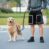 Hands-Free Dog Leash with Pouch & Bungee (Large)