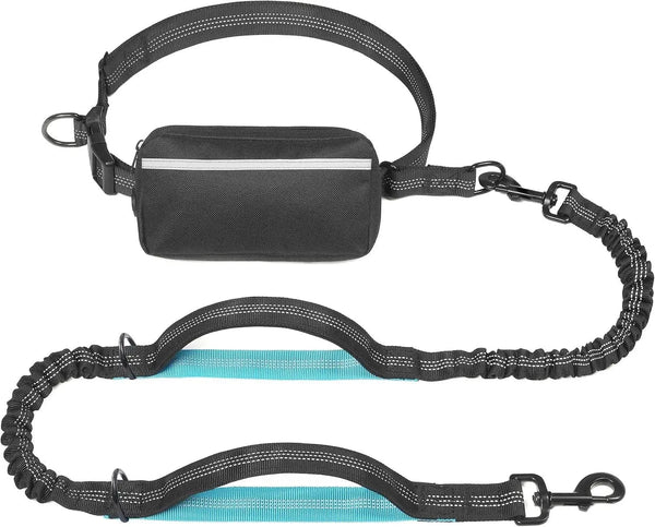 Hands-Free Dog Leash with Pouch & Bungee (Large)