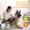 LM5 5-in-1 Low Noise Dog Grooming Vacuum with Dust Cup