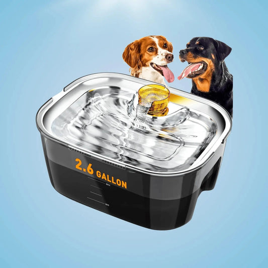 Large Dog Filtered Water Fountain