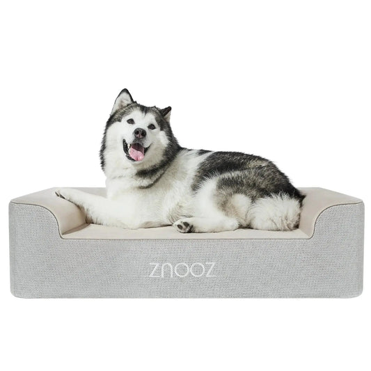 Orthopedic Dog Bed