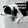 Orthopedic Dog Bed