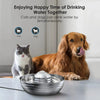 Portable Dog Paw Cleaner Cup – Small & Medium Dogs