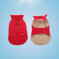 Warm Dog Coat for Winter