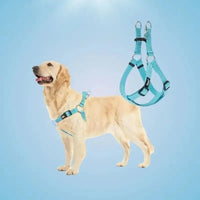 No Pull Adjustable Dog Harness