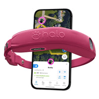 Halo Collar 4 GPS wireless Dog Fence – Wireless, Smart, Orchid Color