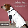 Reflective Dog Raincoat – Waterproof Jumpsuit for Small to Large Dogs | FursBliss