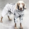 Reflective Dog Raincoat – Waterproof Jumpsuit for Small to Large Dogs | FursBliss
